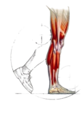 DamienDereume_logo
